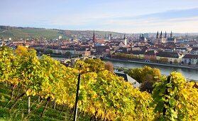 View with vineyard from the fortress on Würzburg, Lower Franconia, Bavaria, Germany