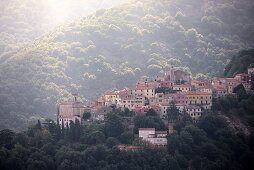 Poggio under Monte Capanne, West Elba, Toscana, Italy