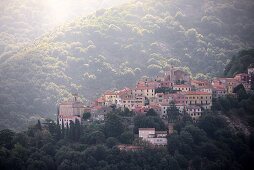 Poggio unter dem Monte Capanne, West-Elba, Toskana, Italien