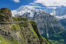 Cliff Walk mit Blick auf Schreckhorn und Fiescherhorn, Tissot Cliff Walk am First, Grindelwald, Berner Oberland, UNESCO Weltnaturerbe Schweizer Alpen Jungfrau-Aletsch, Berner Alpen, Bern, Schweiz