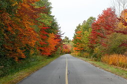 Country road in autumn, Quebec, Canada
