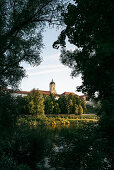 Blick über Donau zur Altstadt mit Hofkirche, Neuburg an der Donau, Landkreis Neuburg-Schrobenhausen, Bayern, Deutschland
