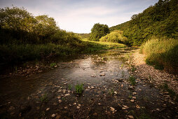 Natural phenomenon of the Danube infiltration between Immendingen and Möhringen, Tuttlingen district, Baden-Württemberg, Danube, Germany