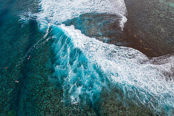 Aerial view of surfers on wave on reef, Nuuroa, Tahiti, Windward Islands, French Polynesia, South Pacific