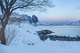 Ufer nähe Fischerdorf Reine auf Lofoten Inseln am Abend, Reine, Norwegen