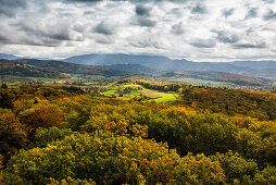View from Eichbergturm to mixed autumn forest, near Emmendingen, Black Forest, Baden-Wuerttemberg, Germany