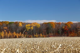Herbstliche Landschaft, Quebec, Kanada
