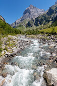 Die Säuber im Tal der Fürenalp, Stäuber, Engelberg, Schweiz