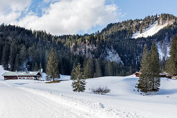 Schwarzentennalm in winter with snow, Mangfall Mountains, Bavaria, Germany