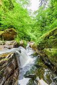 Pesenbachtal in the Upper Mühlviertel, Austria