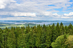 View of the Moldaustausee in the Bohemian Forest, Austria / Czech Republic