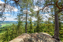 Viewpoint Kühstein in the Upper Mühlviertel, Upper Austria, Austria