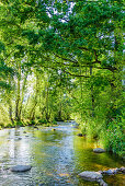 Romantische Flusslandschaft im Mühlviertel, Große Mühl, Oberösterreich, Österreich