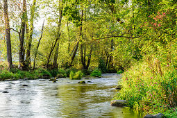 Romantic river landscape in the Mühlviertel, Große Mühl, Upper Austria, Austria