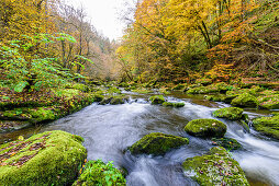 Mountain torrent in autumn, Große Mühl, Oberes Mühlviertel, Upper Austria, Austria