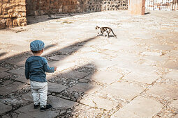 Kind beobachtet eine Katze in Marbella, Spanien