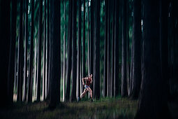 Runner runs through forest, running, sport, forest