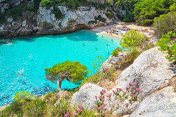 Cala Macarelleta, Erhöhte Ansicht, Menorca, Balearen, Spanien