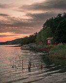 Rote Hütte am See mit Schilf auf Schäreninsel Orust an der Westküste von Schweden im Sonnenuntergang\n