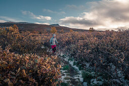 Frau wandert auf Kungsleden Fernwanderweg im Pieljekaise Nationalpark im Herbst mit Schnee in Lappland in Schweden\n