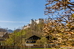 Blick auf das Schloss Hohenauschau, von unten. Vordergrund unscharf. Chiemgau, Oberbayern, Bayern, Deutschland