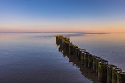 Buhlen on the Baltic Sea coast at dawn near Uckermünde. Szczecin Lagoon, Baltic Sea, Mecklenburg-West Pomerania, Germany, Europe