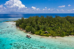 Luftaufnahme von Ausflugsboot und Menschen am Strand, in der Lagune, Moorea, Windward Islands, Französisch-Polynesien, Südpazifik