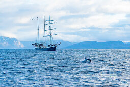  Norway, Skjervøy 