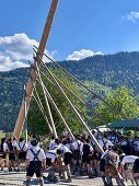 Maypole erection in the municipality of Jachenau, Bavaria, Germany