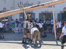 Maypole erection in the municipality of Jachenau, Bavaria, Germany