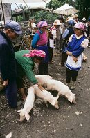 Lebende Schweinchen auf dem Wochenmarkt in Shaping (China)