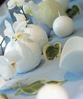 Table decoration: white balls, Phaleonopsis and Cattleya