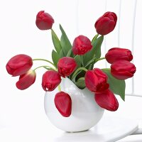 Rote Tulpen 'Hollandia' in Vase