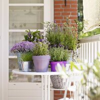 Various culinary herbs in pots on a balcony