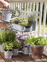 Watering herbs on a balcony