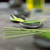 Bamboo leaf on massage stone, incense sticks