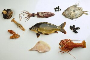 Fische und Meeresfrüchte