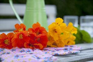 Rote und gelbe Kapuzinerkresseblüten auf Gartenbank