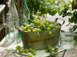 Green gooseberries in metal jardiniere, bottles and jars