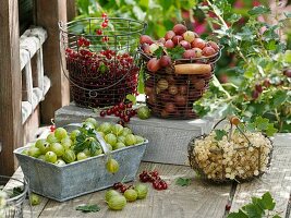 Baskets of red- and white currants and gooseberries