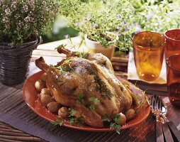 Herb chicken with potatoes