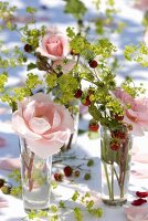 Roses, wild strawberries and lady's mantle in glasses