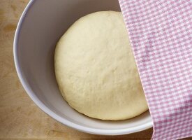 Yeast dough in a bowl half covered by a tea towel