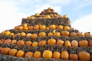 Lots of pumpkins in a hay bale pyramid