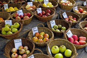 Viele Körbe mit regionalen Apfelsorten