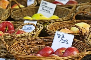 Various varieties of apples in baskets