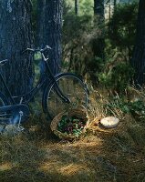 Korb mit frischen Brombeeren, Brombeerpie und Fahrrad am Baum