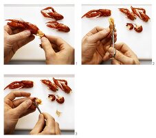 Gegarten Flusskrebs zerteilen