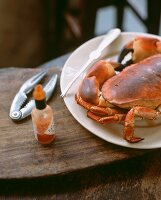 Gekochter Taschenkrebs mit Tabasco