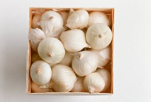 A Box of White Onions; From Above